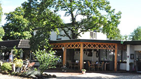 foreesten