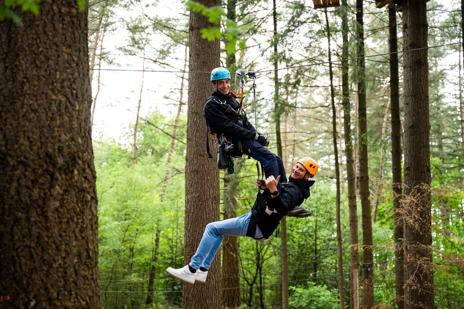 Climbing Fox Rescue Instructor